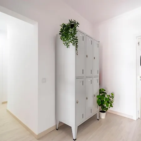 Growin Mercado Distrito de Faro